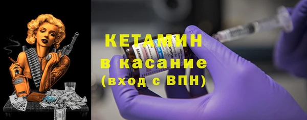 шишки Богородицк