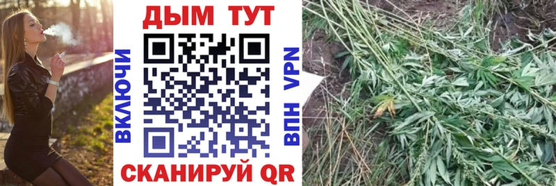 Канабис AK-47  Ермолино 
